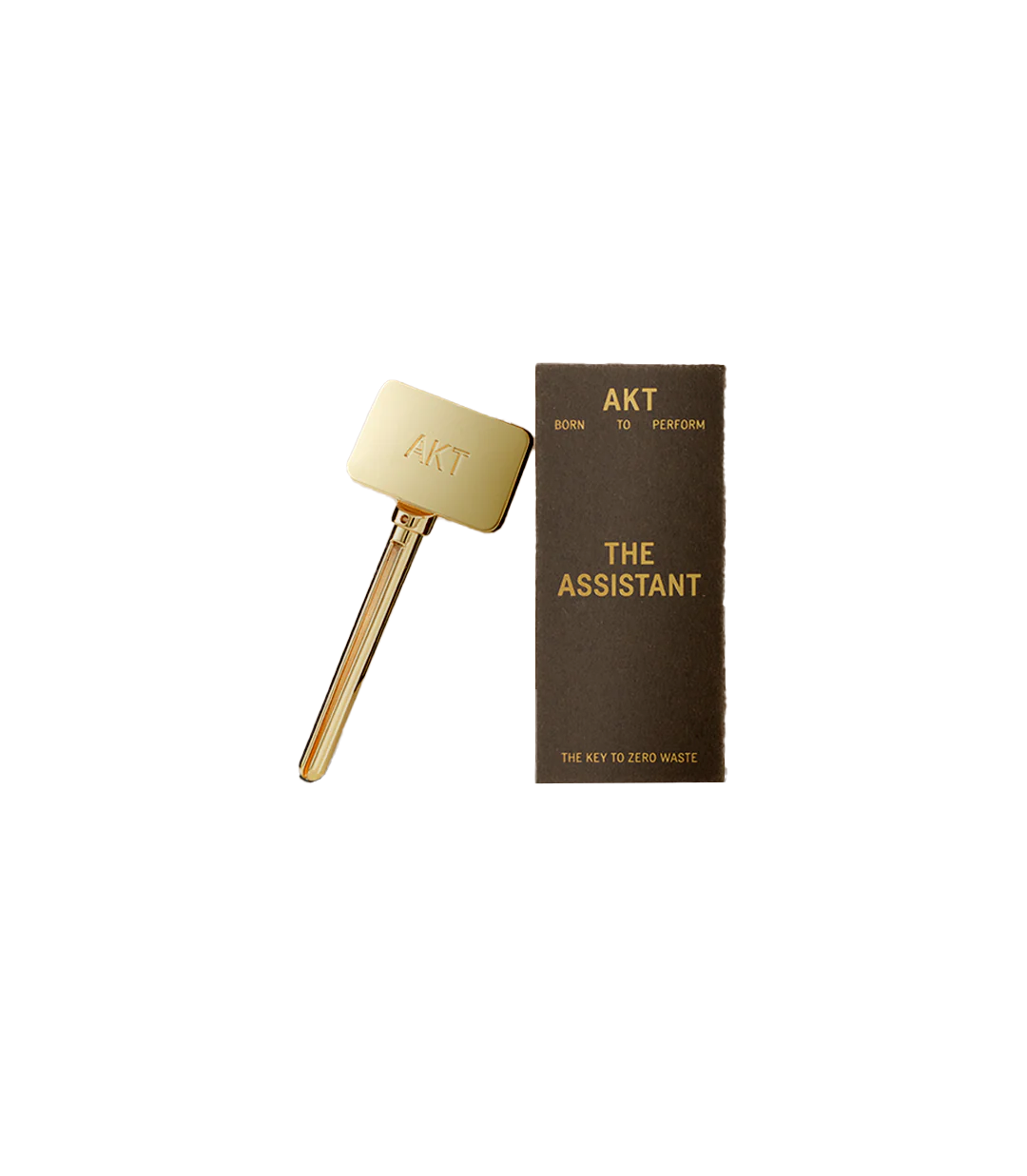 The Assistant